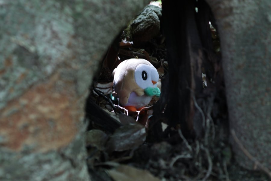 ギャラリー画像 11