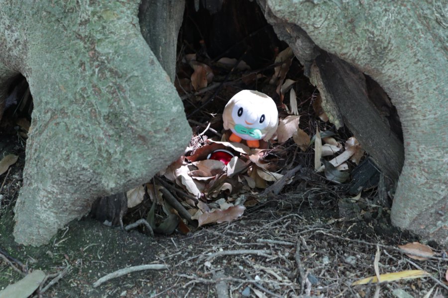 ギャラリー画像 12