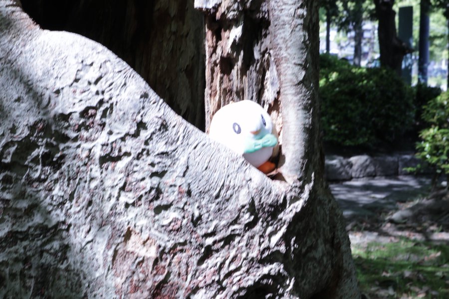 ギャラリー画像 14