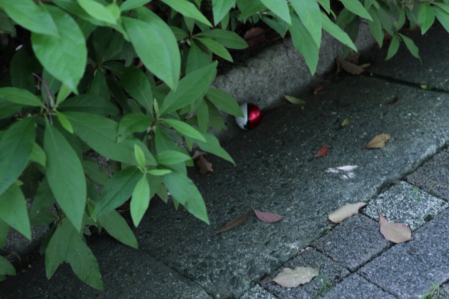 ギャラリー画像 15