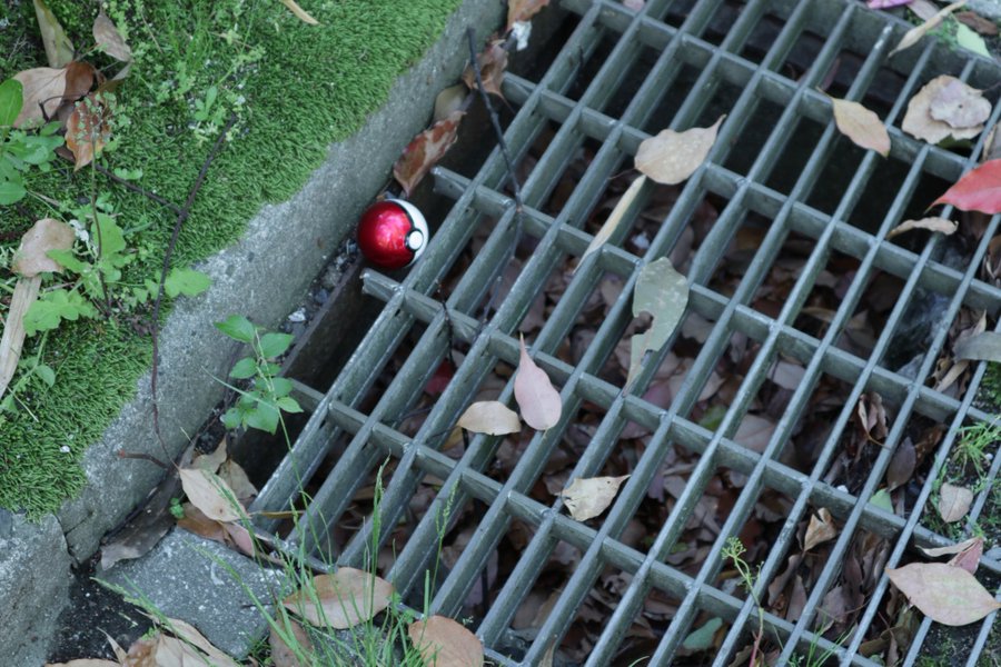 ギャラリー画像 16