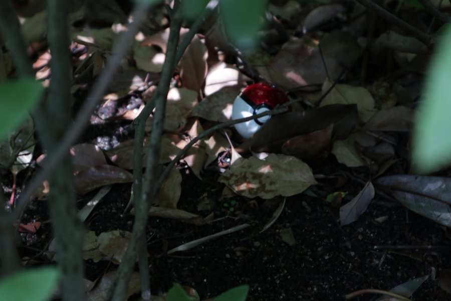 ギャラリー画像 18