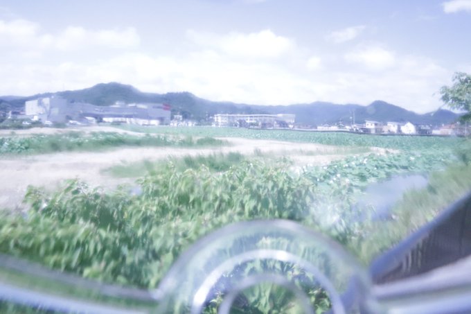 ギャラリー画像 24