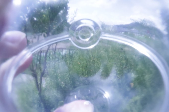 ギャラリー画像 25