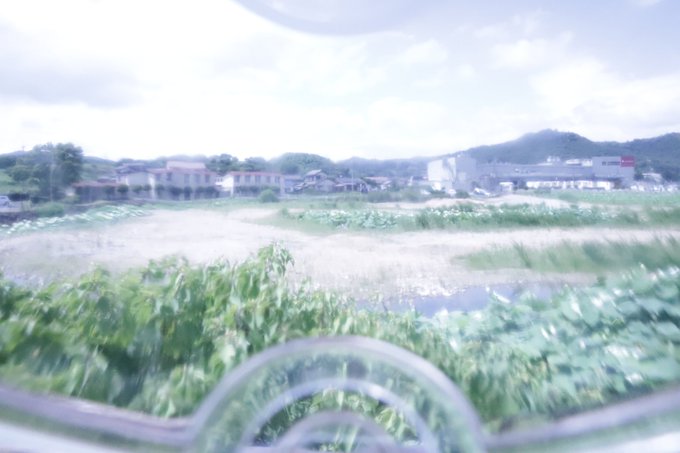 ギャラリー画像 26