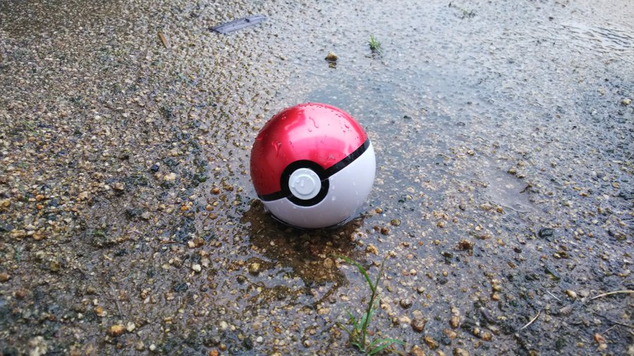 ギャラリー画像 28