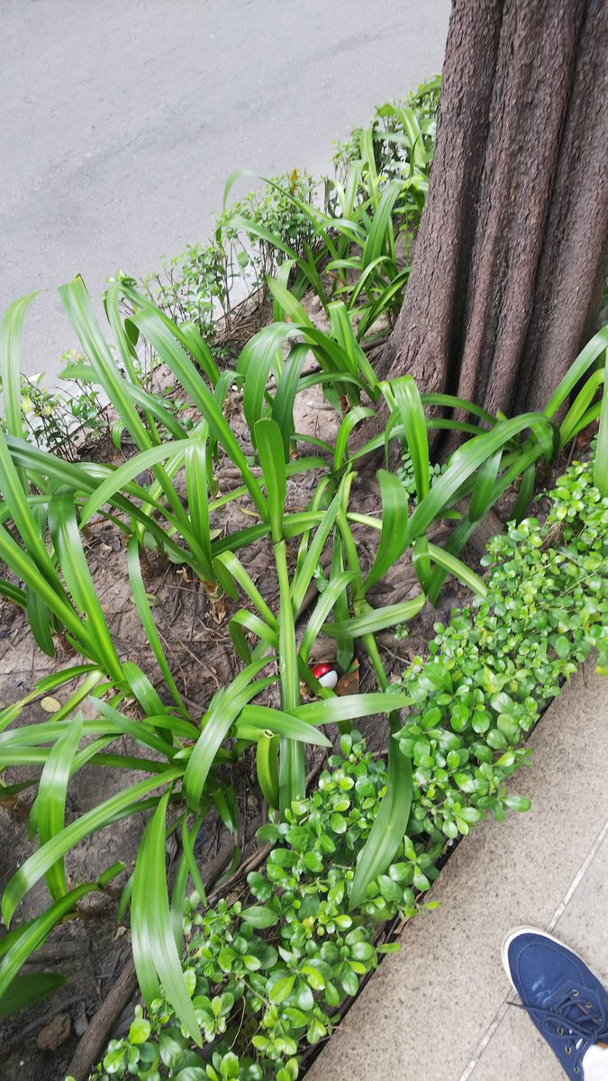 ギャラリー画像 29