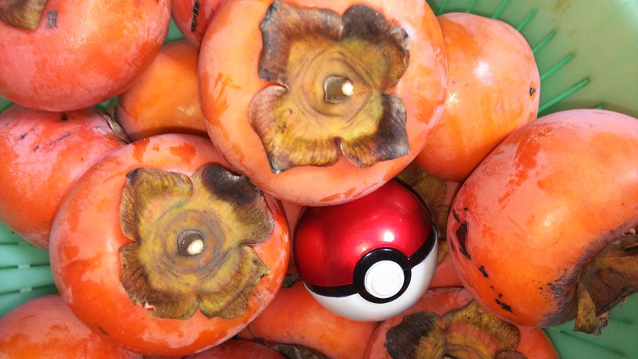 ギャラリー画像 30