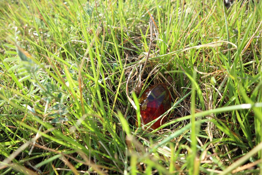 ギャラリー画像 32