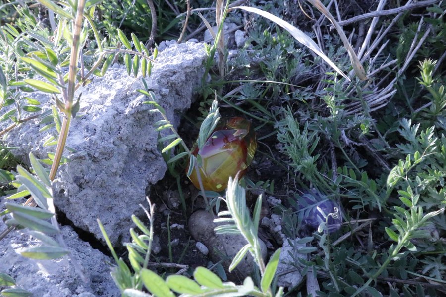 ギャラリー画像 34