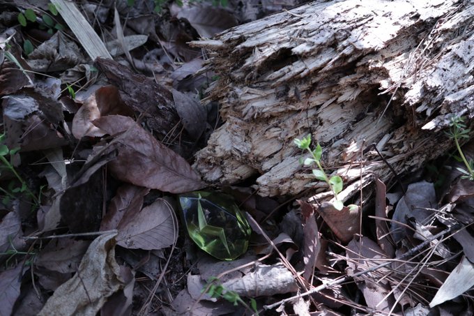 ギャラリー画像 4