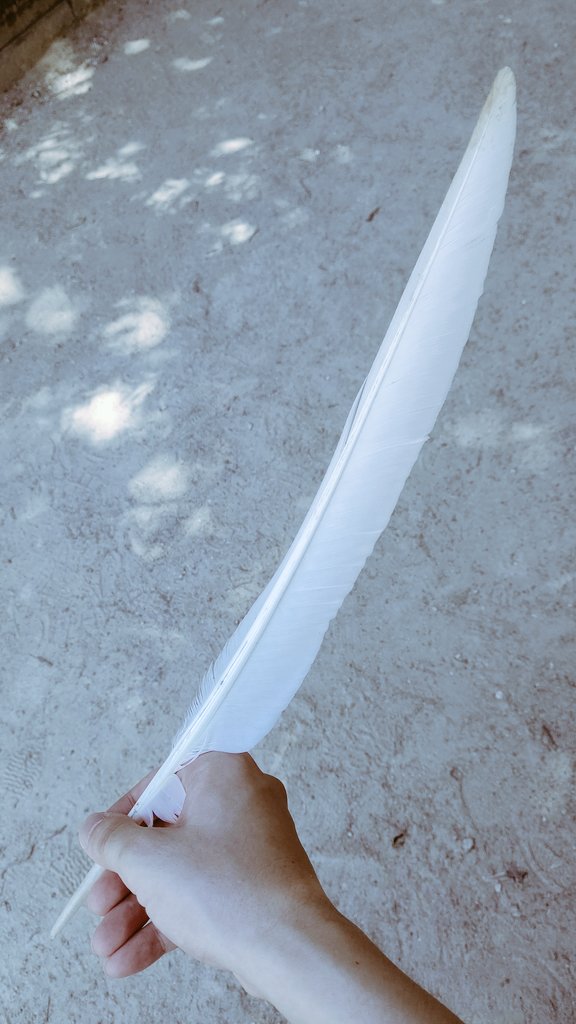 ギャラリー画像 40