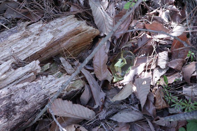 ギャラリー画像 5