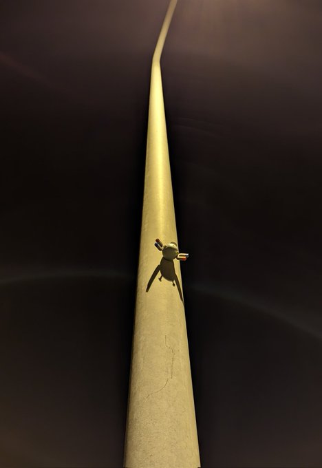 ギャラリー画像 58