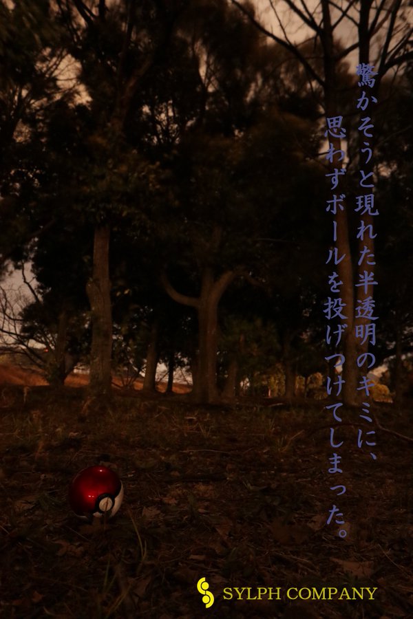 ギャラリー画像 60