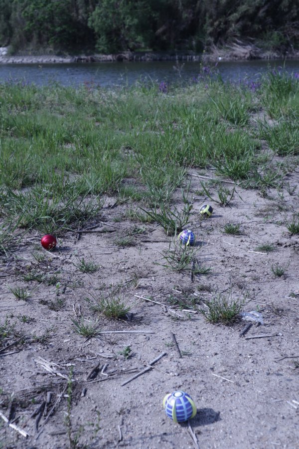 ギャラリー画像 7