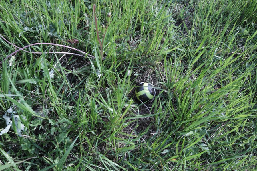 ギャラリー画像 8