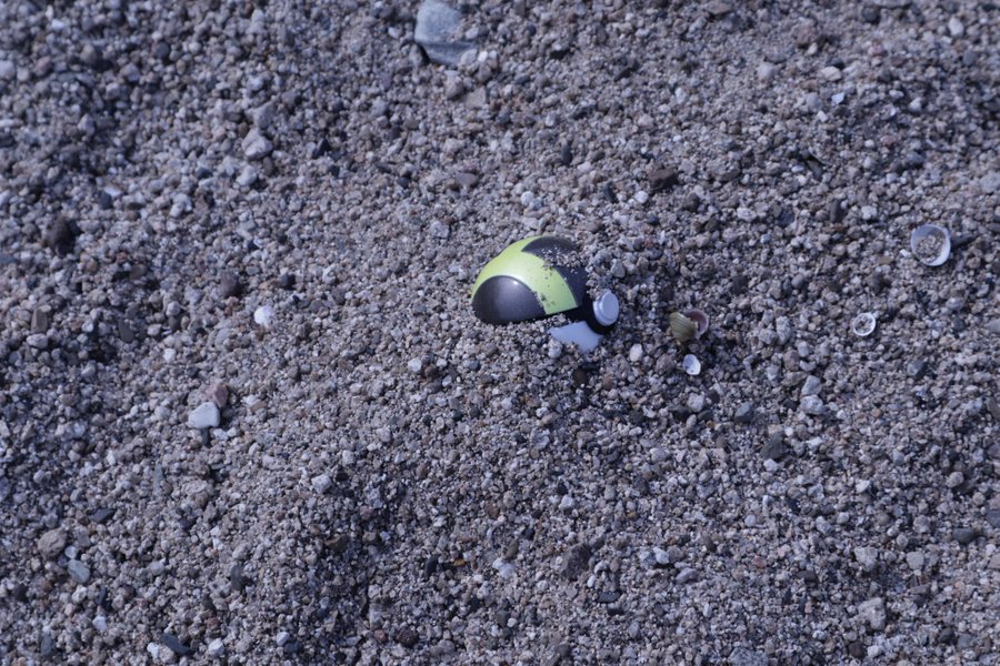 ギャラリー画像 9